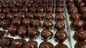 Foto van metalen bakplaten met daarop meer dan 30 vers gemaakte Bossche bollen, ronde soezen met glimmende chocola erover.