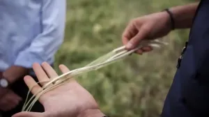 Een foto van twee handen die vlas vasthouden, op de achtergrond/ondergrond zie je een weiland.