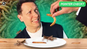 Een foto van de presentator, op de tafel voor hem staat een bord met insecten en een hand reikt hem een soort meelworm aan. De presentator kijkt wat angstig.