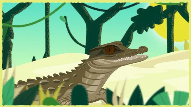 Illustratie van groene dwergkaaiman in de jungle.