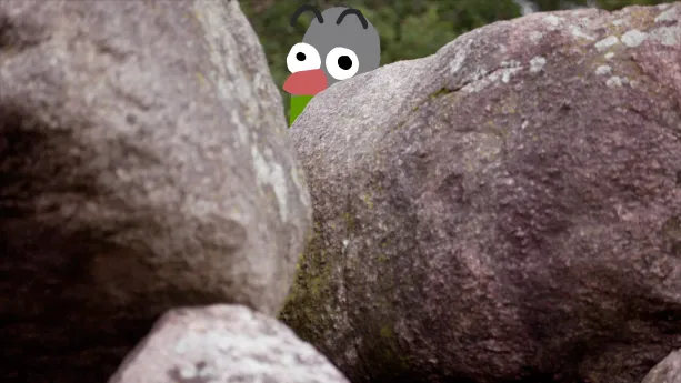 Land in Zicht: de 12 provincies