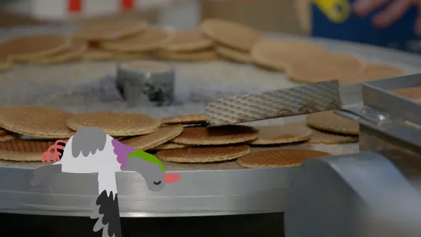 Foto van stroopwafels op lopende band met een illustratie van slapende duif erop.