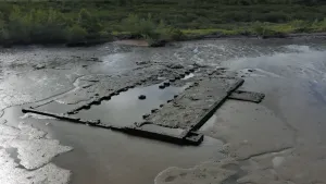 Foto van een drooggevallen oude katoenplantage in Suriname.