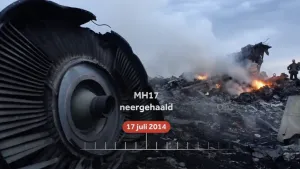 Foto van de wrakstukken van de MH17, 17 juli 2014.