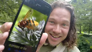 Een foto van presentator Pascal, hij houdt zijn telefoon omhoog waarop een foto van een bij te zien is.