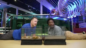 De Noordzee is een stuk troebeler dan de Middellandse Zee. Tirsa ontdekt in deze video hoe dat komt.