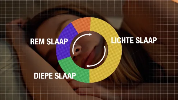 Foto van slapende vrouw met daarop een cirkel met gekleurde vlakken die de verschillende slaapfases symboliseren.