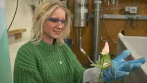 Janouk houdt een bevroren roos vast in een lab waar stikstof wordt gemaakt.