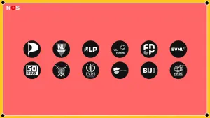 De logo's van 12 politieke partijen op een rijtje: de Piratenpartij, NL Plan, LP, Vrij Verbond, FNP, BVNL, 50Plus, Ellect, PVDR, De Linie, Bij1 en Vrede voor Dieren.