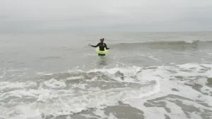 In de Noordzee leven er honderden diersoorten