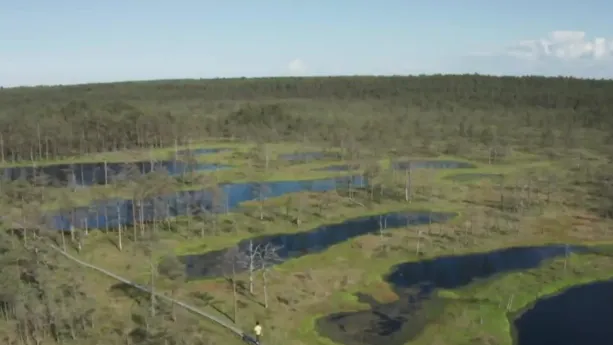 Een foto van een Ests landschap met bomen en meertjes.
