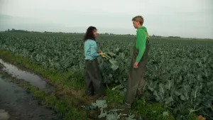 Presentatrice en boer in een broccoliveld