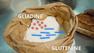 Foto van zak meel met de eiwitten gliadine en glutenine.