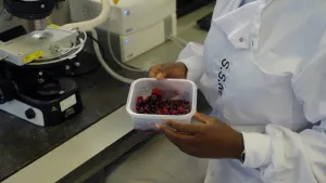 Niet aantrekkelijk, maar prima te eten!