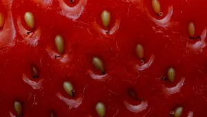 Foto van een aardbei, ingezoomd op de gele pitjes in de rode huid.