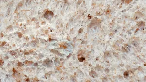 Foto van volkorenbrood van dichtbij, met luchtkamers en stukjes graankorrel.