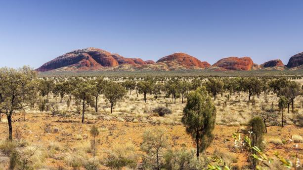 Foto van natuurgebied in Australie met rode rotsen op de achtergrond en op de voorgrond wat bomen.