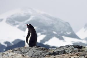 Themapagina Antarctica