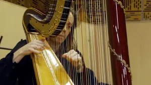 Foto van een harpiste die een harp bespeelt.