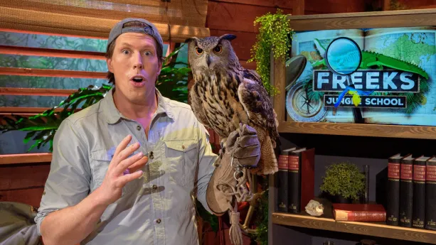 Jagers in de Schaduw: uilen