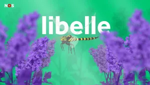 Illustratie van zwartgele libelle tussen paarse lavendel.