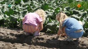 Waar komt mijn eten vandaan? - Broccoli
