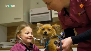 Hobby: Dierendokter
