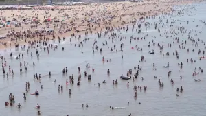 Afbeelding van veel mensen op het strand en in de zee