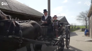 Een foto van een kind en een man in een open koets met een paard ervoor.