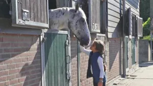 Hobby: Paardrijden Elfidan