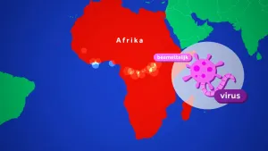Kaart van Afrika met gearceerde gebieden waar Ebola voorkomt, vooral in het midden. Naast Afrika staat een rond kadertje met een roze beestje dat het ebola-virus moet voorstellen.