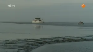 Foto van Waddenzee met aan de horizon een witte veerboot. 