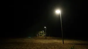 Een foto van een donker bos in de nacht. In het bos staan drie lantaarnpalen die fel staan te schijnen, waardoor daar omheen heel veel licht is. Bij de achterste lantaarnpaal staan twee mensen.