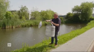 Een foto van een man naast een brede sloot in een woonwijk. Hij vist een stuk plastic uit het water, om het in de mand die hij bij zich heeft te stoppen.