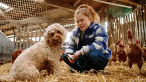De kinderboerderij